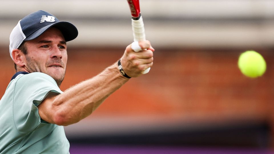 瓦拉内解释 瓦拉内解释